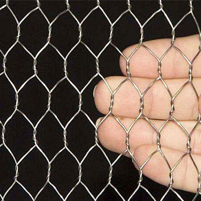Iron Small Hole Chicken Wire Mesh
