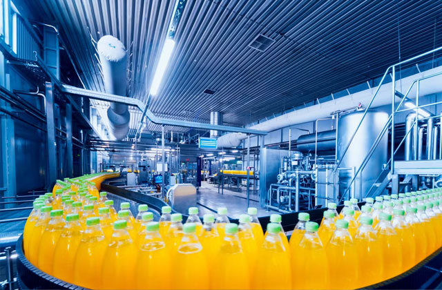 Food-Processing