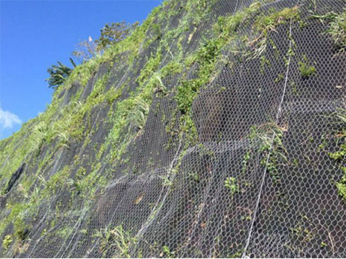 Rockfall net drapery and protection system